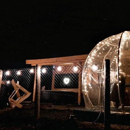 Tiny House Colibita Villa ภายนอก รูปภาพ